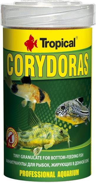 Corydoras (100 ml)