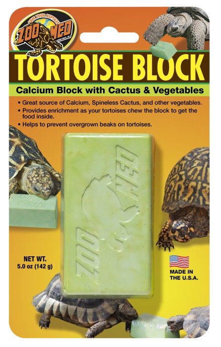 Tortoise Block mit Opuntia Kaktus
