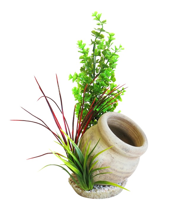 Jar plant 35 cm hoch [P3]