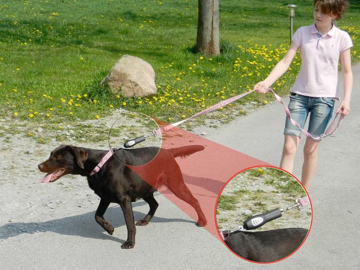 DOG-e-Walks Dog Trainer Basic