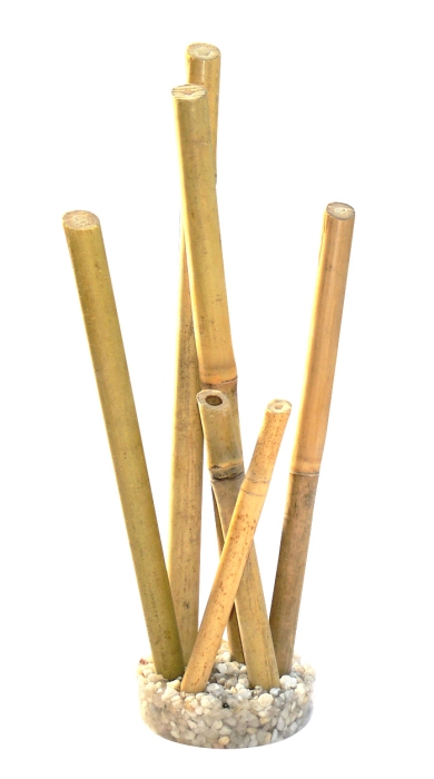 Bamboo large natural 25 cm hoch [P6]