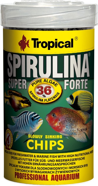 Spirulina 36% Chips (100 ml)