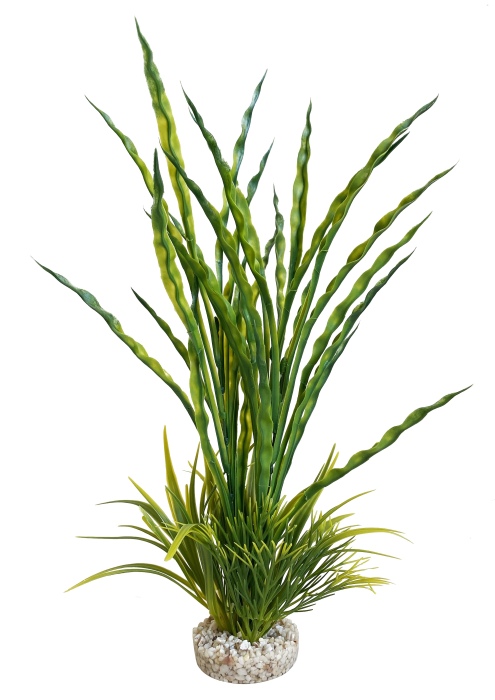 Atoll grass 35 cm hoch [P8]