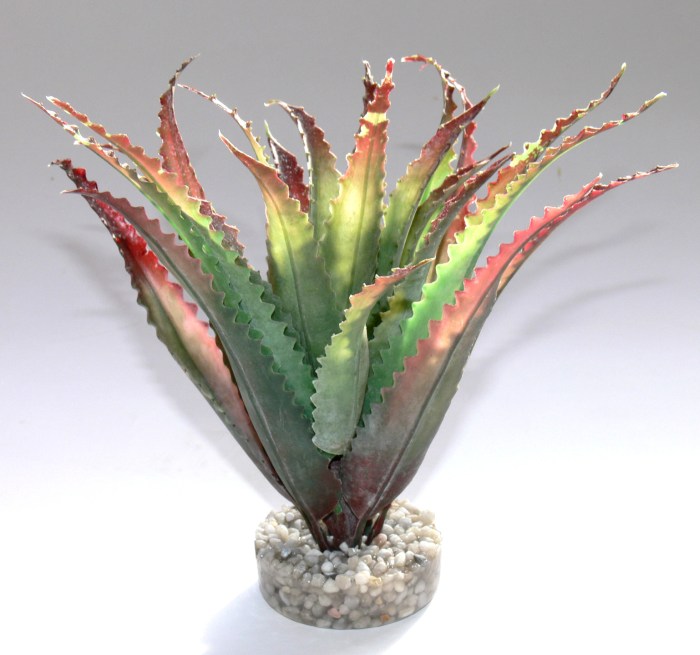 Aloes 16 cm hoch [P6]