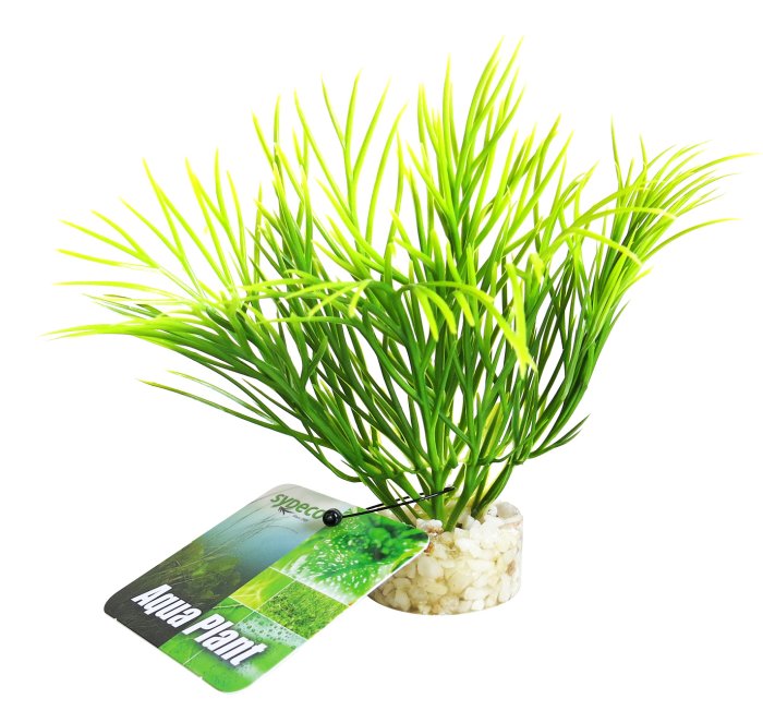 Nano Green Plant 11 cm hoch [P24]