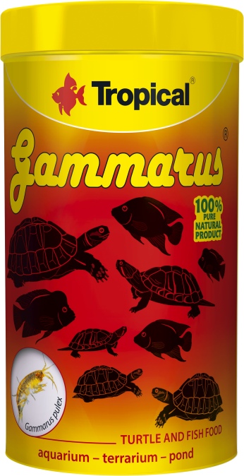 Gammarus (250 ml)