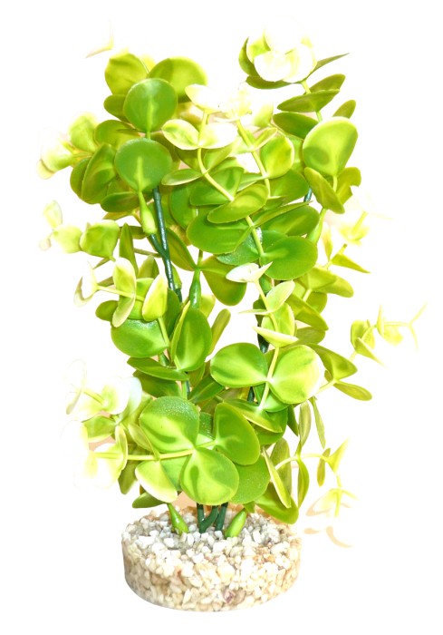 Aqua Eucalyptus Plant grün 22 cm hoch