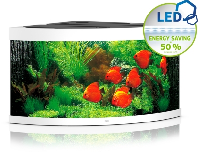 Trigon 350 LED weiß Aquarium
