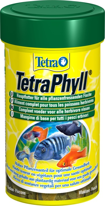 Phyll (100 ml)