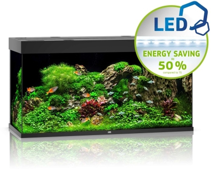 Rio 350 LED schwarz Aquarium