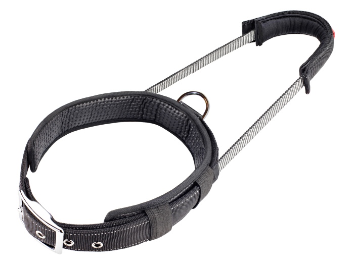 Sport Halsband XL Schwarz