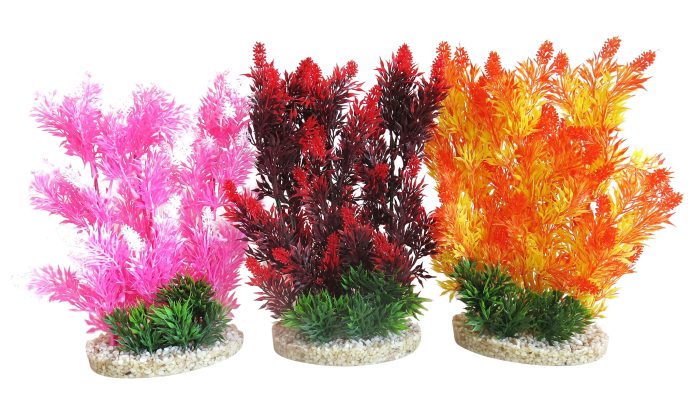 Aquaplant Color Hedge 24 cm hoch [P6]