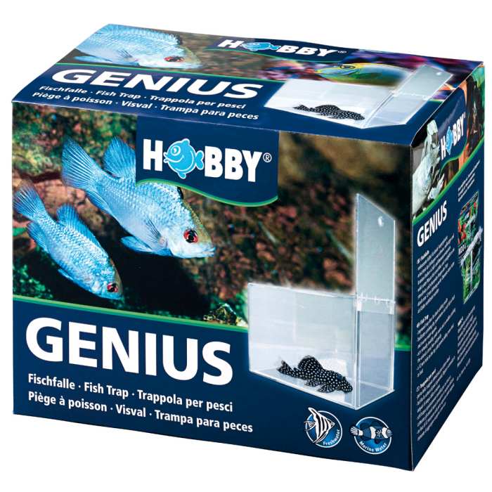 Fischfalle Genius