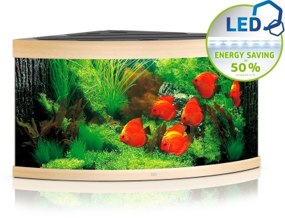 Trigon 350 LED helles Holz Aquarium