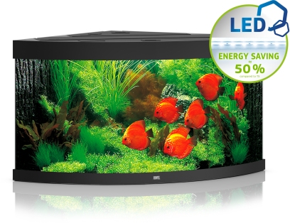 Trigon 350 LED schwarz Aquarium