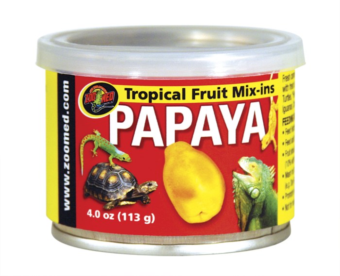 Tropical Fruit Mix-ins Papaya (95 g)