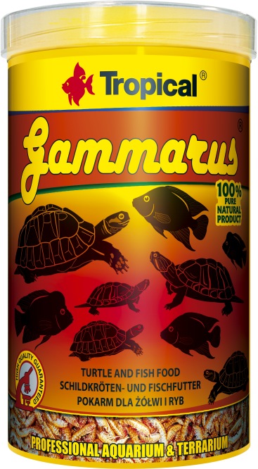 Gammarus (1000 ml)