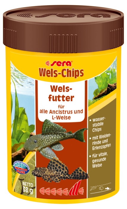 Wels-Chips Nature 100 ml (38 g)