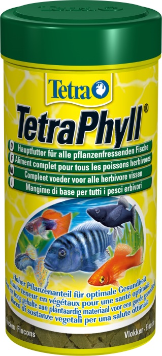 Phyll (250 ml)