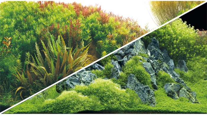 Fotorückwand Planted River/Green Rocks (0,3 x 25 m)