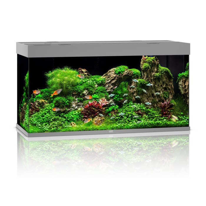 Rio 350 LED grau Aquarium