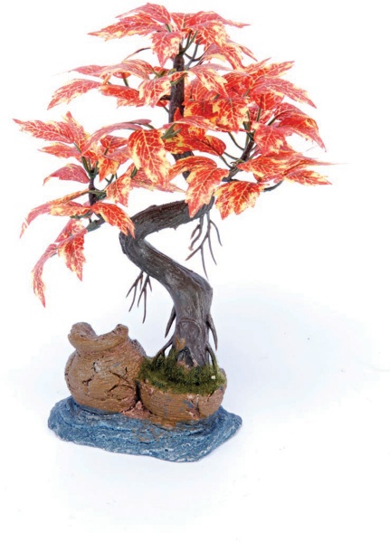 Bonsai-Baum auf Urne