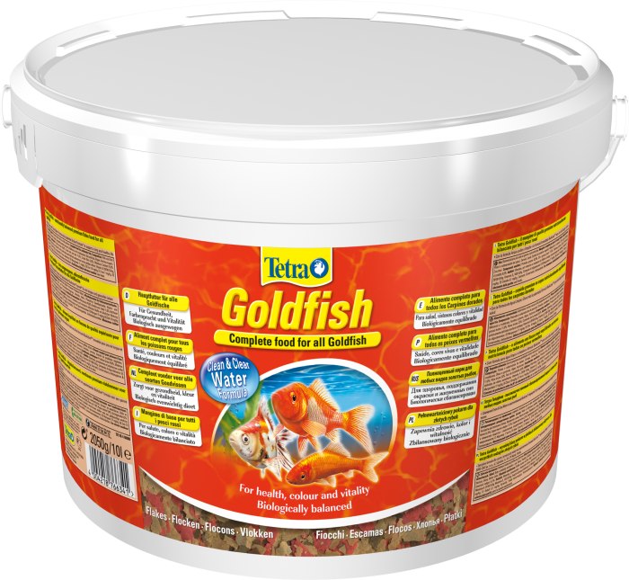 Goldfish (10 L)