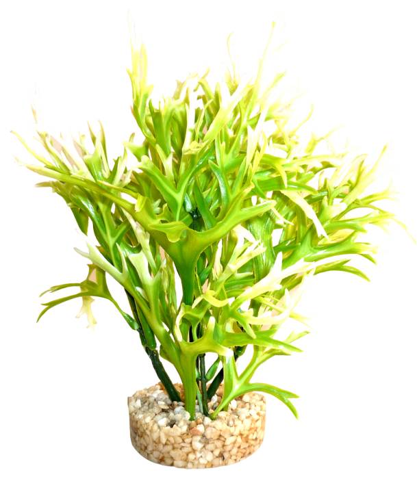 Aqua Fern Plant grün 19 cm hoch