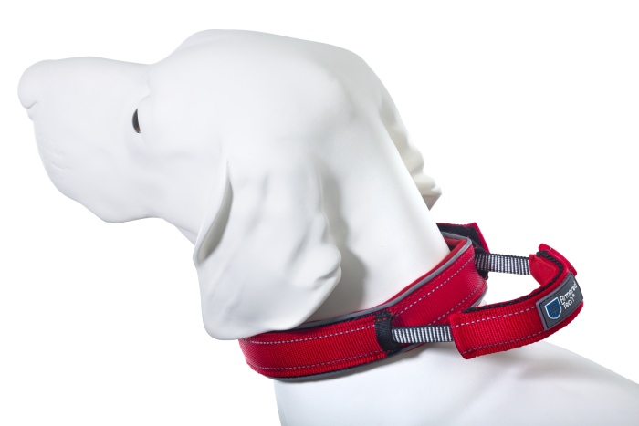Dog Control Halsband XL rot