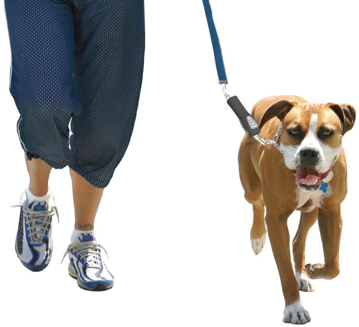 DOG-e-Walks Dog Trainer Basic