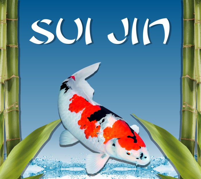 Sui Jin