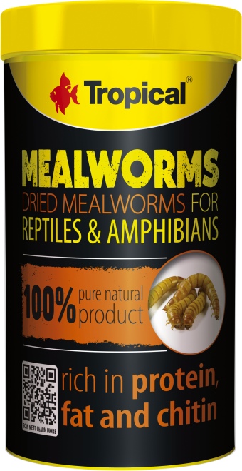 Meal Worms (250 ml)