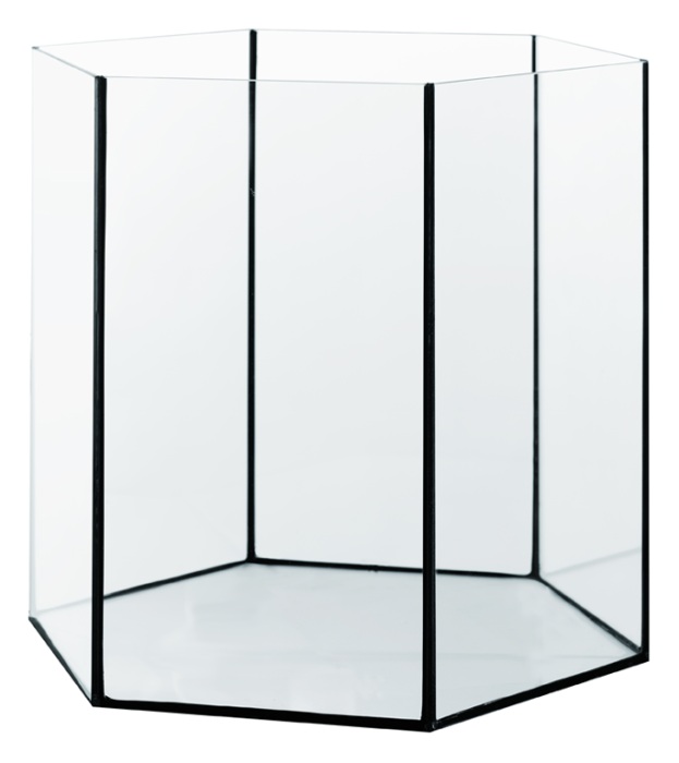 Me Top-Glas Aquarium HEX (35 x 35 cm) 4 mm 31L