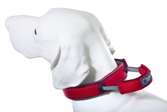 Dog Control Halsband XS rot