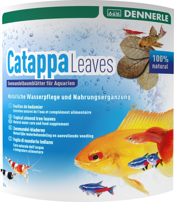 Aqua Rico - Catappa Leaves (10 Stück)